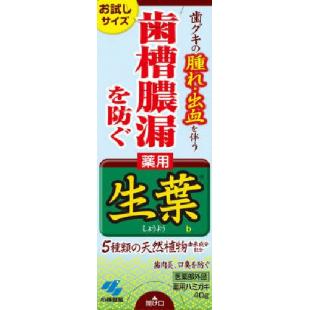 生葉お試しサイズ40g