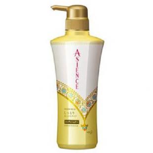 アジエンスしっとり仕上がるタイプCDポンプ   480ml