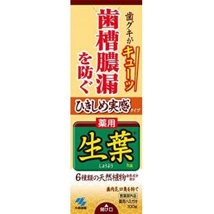 ひきしめ生葉ha100g