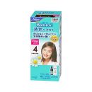 ブローネ液状ヘアカラー 4 やや明るい栗色