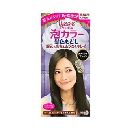 リーゼプリティア泡カラー髪色もどしナチュラルブラック’1