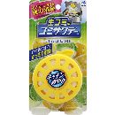 生ゴミ用ゴミサワデーフレッシュレモンライムA