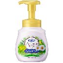 ビオレuアロマタイム泡ハンドソープ   ハーブ   ポンプ230ml