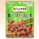 鶏とごぼうの五目煮