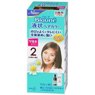 ブローネ液状ヘアカラー2より明るい栗色   90ml