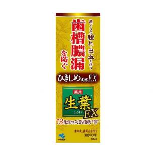 生葉EX100g