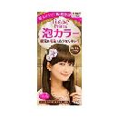 リーゼプリティア泡カラーロイヤルブラウン   108ml