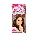 リーゼプリティア泡カラーラズベリーブラウン   108ml