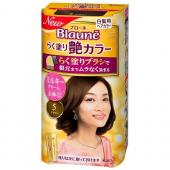 ブローネらく塗り艶カラー5   100g