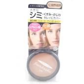 ファンデュープラスRUVコンシーラーファンデーション12自然な肌色11g